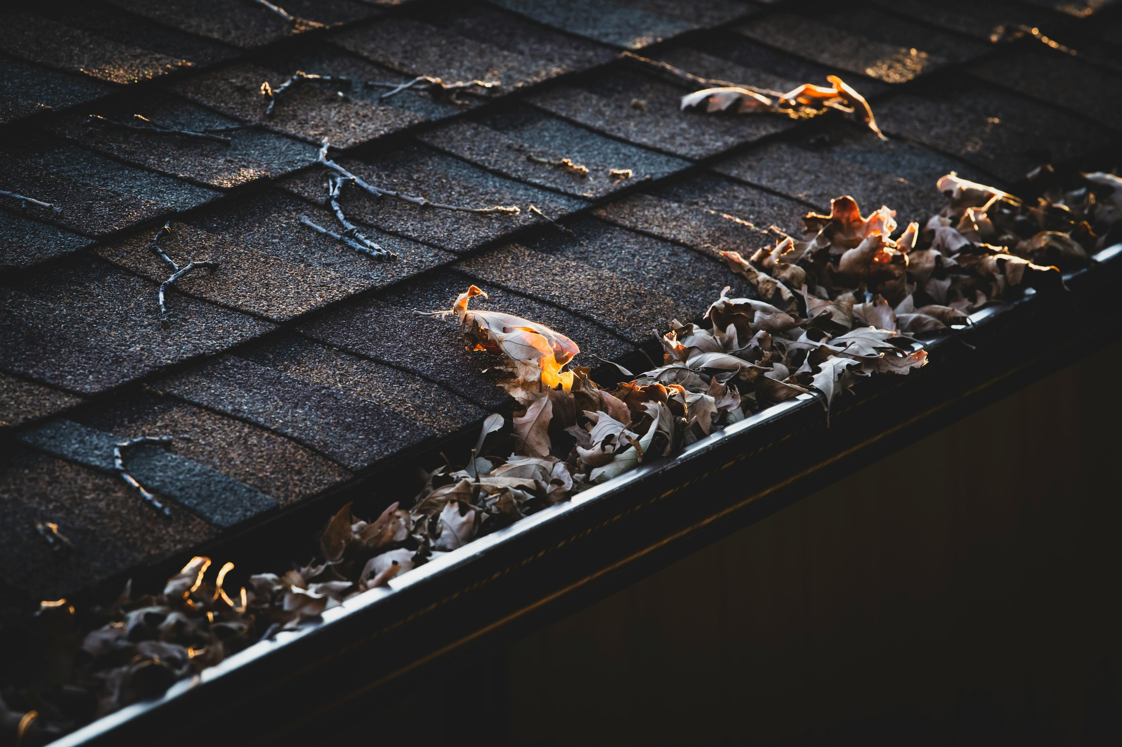 Gutter clogged with autumn leaves — the problem seamless gutters solve