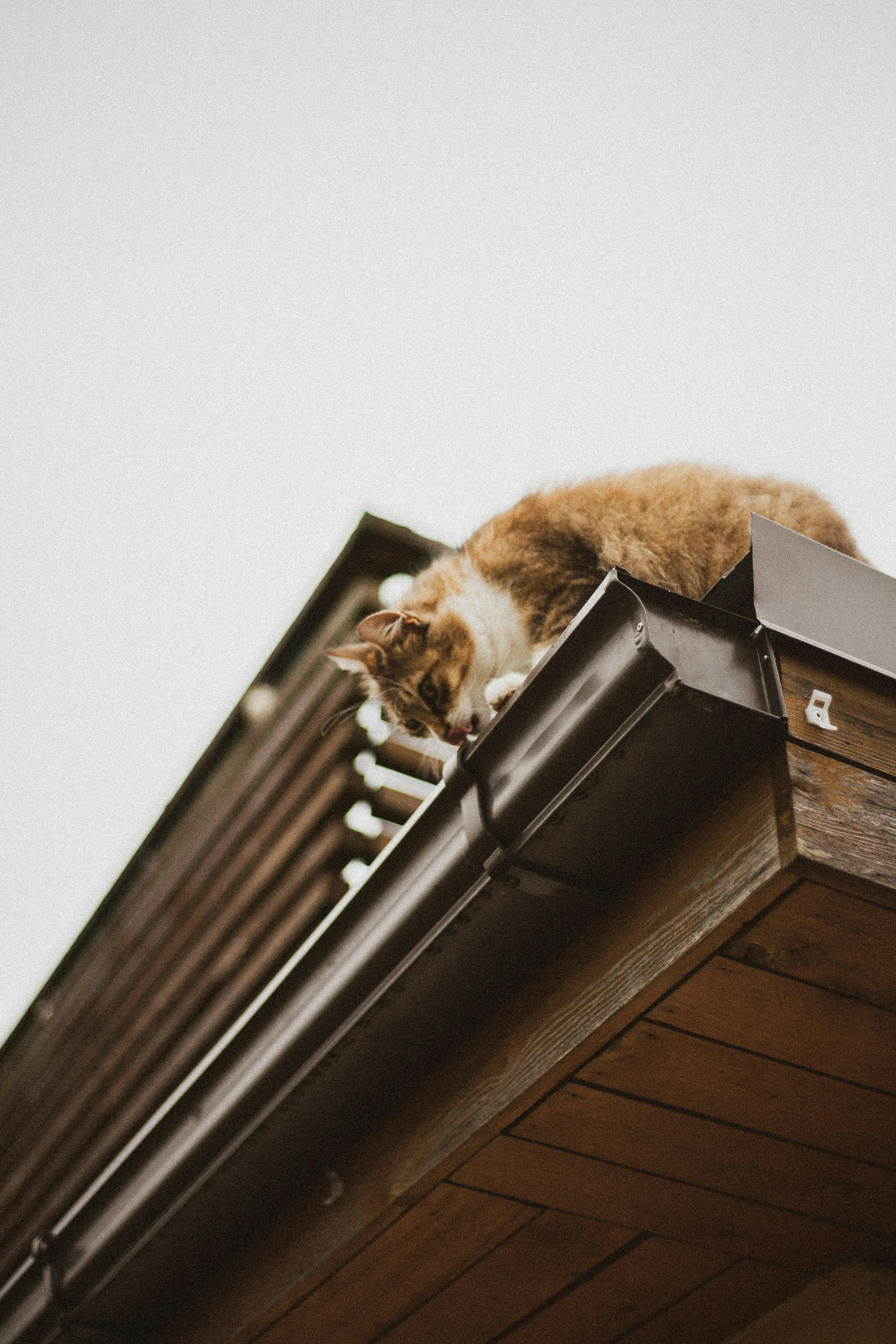 Close-up of a residential gutter — Superior South Gutters